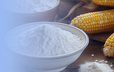  耐高温α-淀粉酶