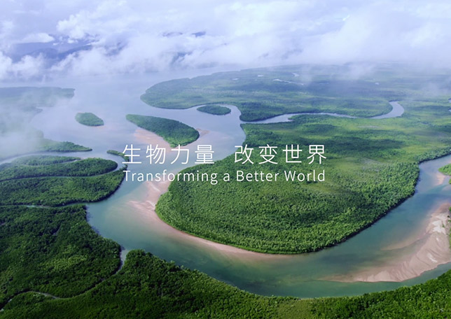 溢多利品牌宣传片