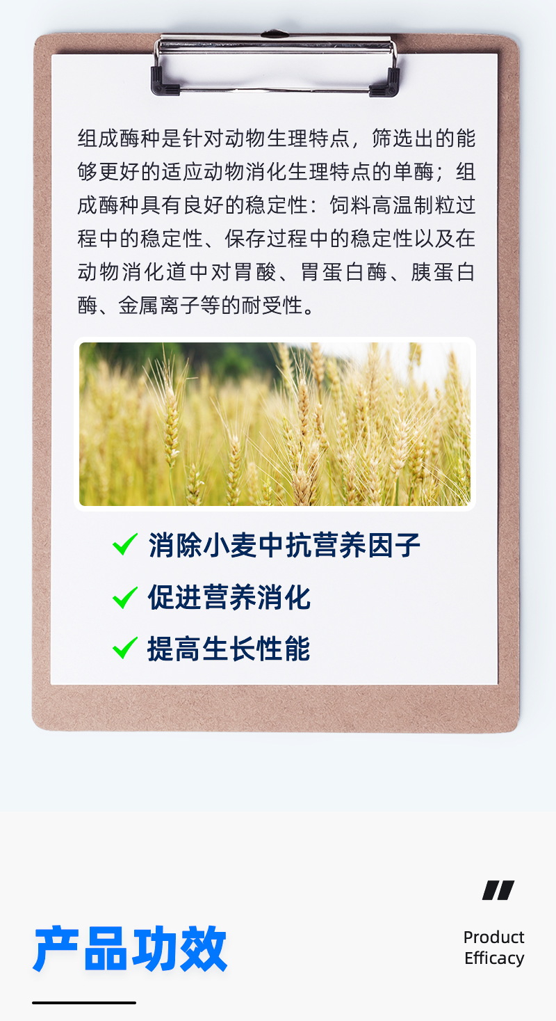 麦酶宝_03.jpg