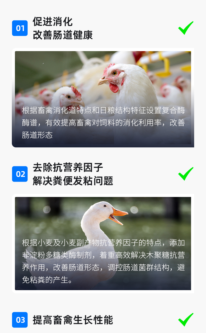 麦酶宝_04.jpg