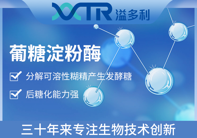 A2葡糖淀粉酶图.jpg